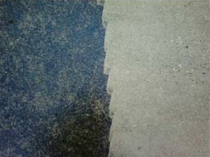 Power washing can restore concrete to 
its original color and state.