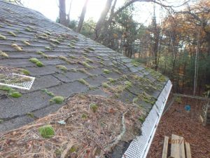 Roof Cleaning in Princeton