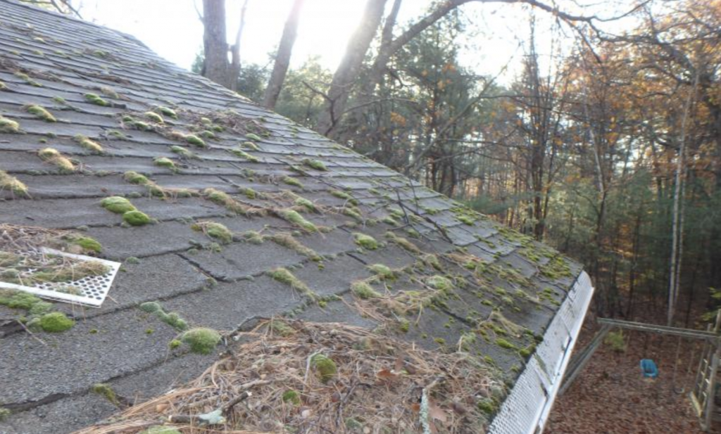 Roof Cleaning in Princeton