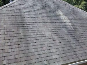 Roof Cleaning in Pennington NJ