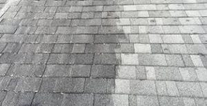 West Windsor Roof Cleaning