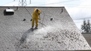 Belmar Roof Cleaning Company