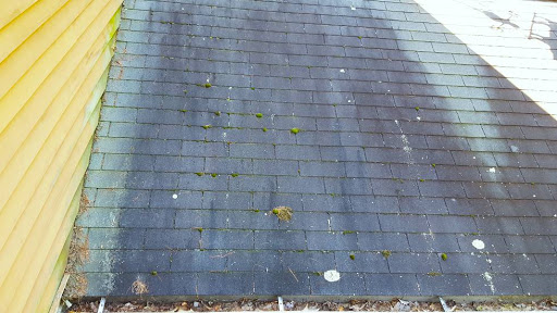 Freehold Roof Cleaning